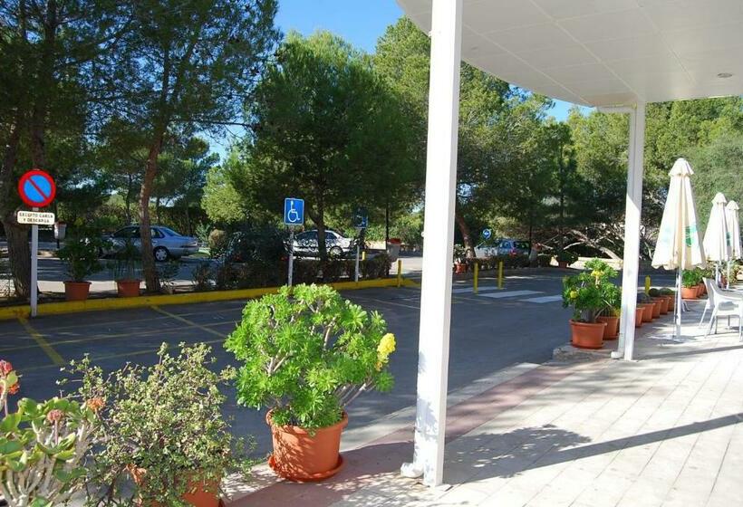 테라스가 있는 2 베드룸 아파트, Palmera Beach