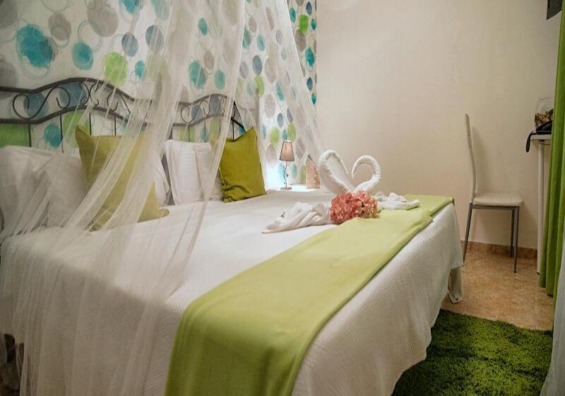 スタンダードルーム, Ancora Urban Center