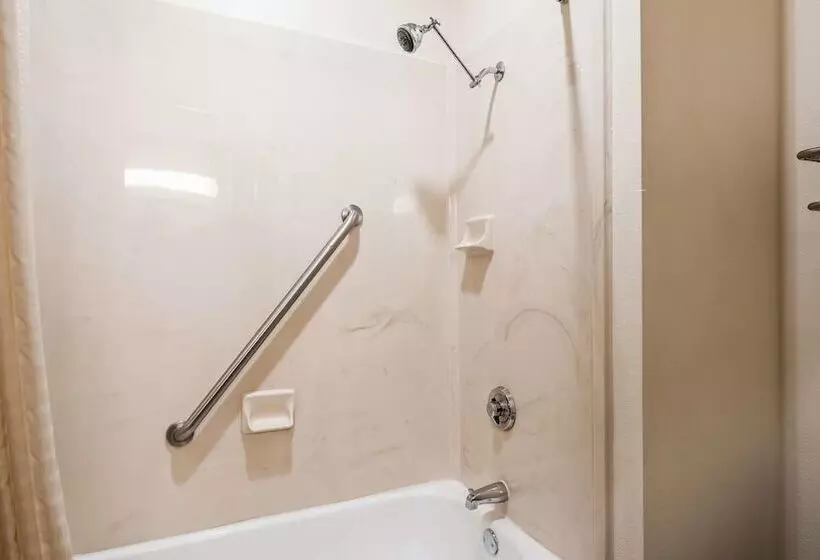 اتاق استاندارد با 2 تخت دوبل, Best Western Fort Worth Inn And Suites