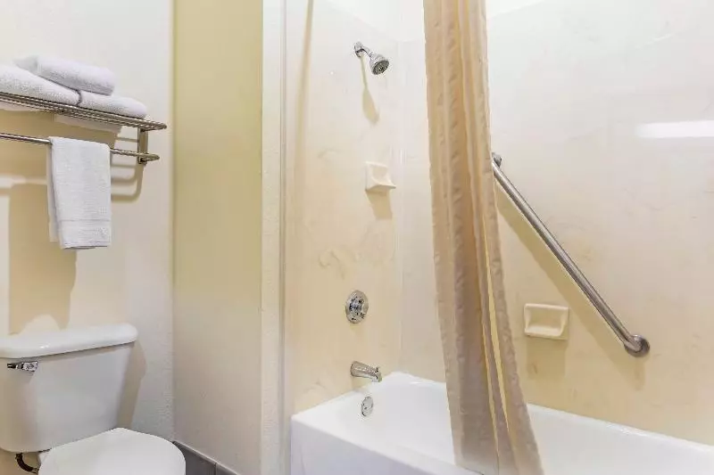 سوئیت با تخت بزرگ, Best Western Fort Worth Inn And Suites