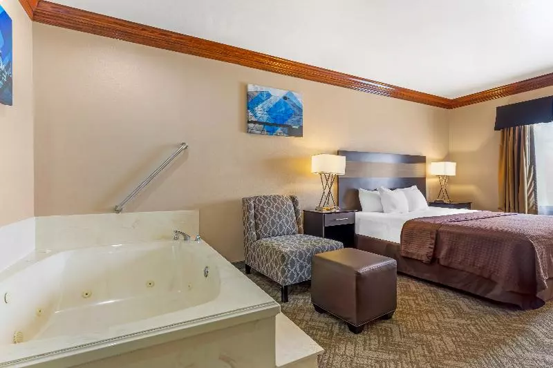 سوئیت با تخت بزرگ, Best Western Fort Worth Inn And Suites