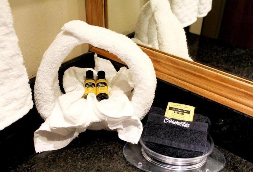 غرفة قياسية سرير كينج لذوى الإحتياجات الخاصة, Best Western Plus Des Moines West Inn & Suites