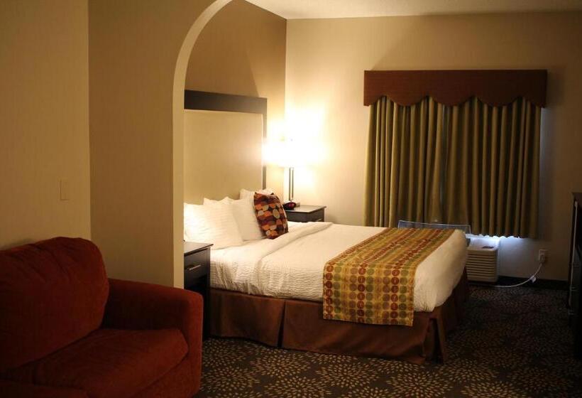 Стандартный Номер Кровать Кинг, Best Western Plus Des Moines West Inn & Suites