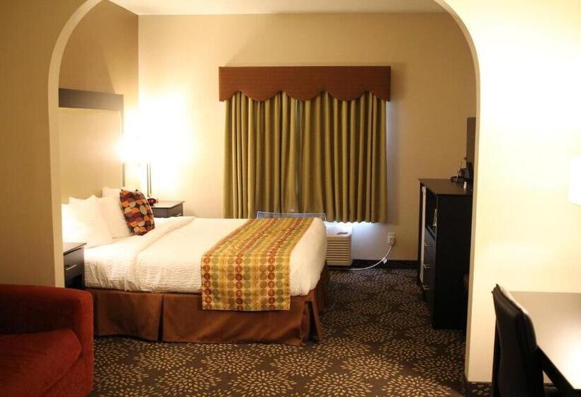 غرفة قياسية سرير كينج, Best Western Plus Des Moines West Inn & Suites