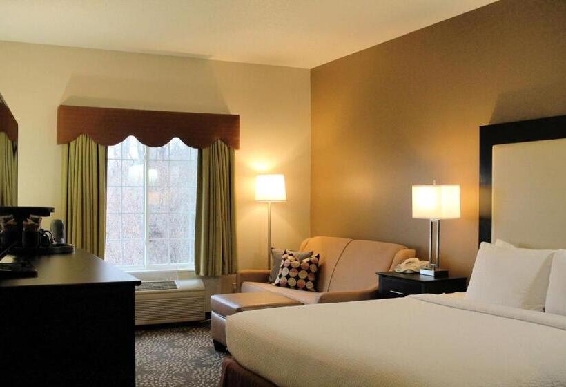 غرفة قياسية سرير كينج, Best Western Plus Des Moines West Inn & Suites