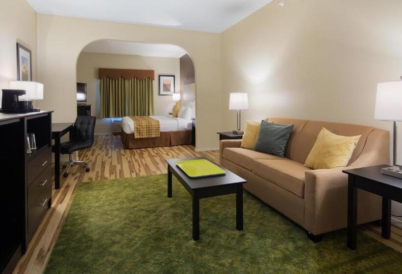 جناح لذوى الاحتياجات الخاصة, Best Western Plus Des Moines West Inn & Suites