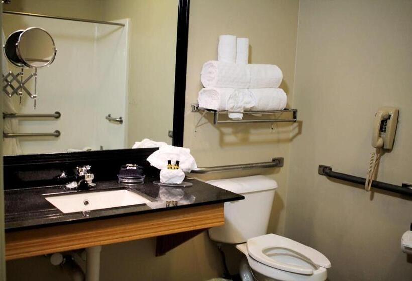 جناح لذوى الاحتياجات الخاصة, Best Western Plus Des Moines West Inn & Suites