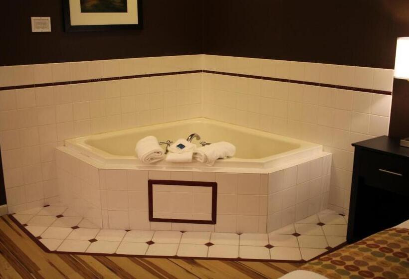 غرفة قياسية سرير كينج, Best Western Plus Des Moines West Inn & Suites