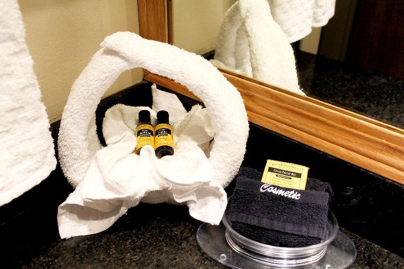 غرفة قياسية, Best Western Plus Des Moines West Inn & Suites