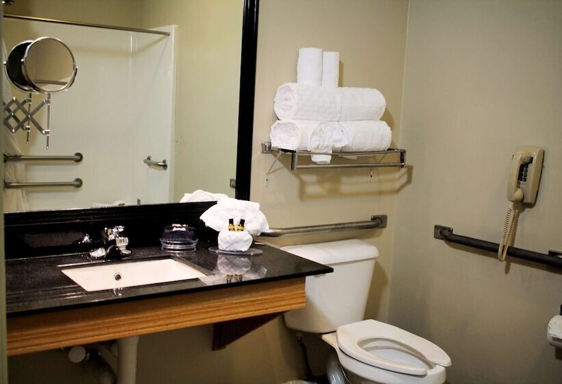 جناح لذوى الاحتياجات الخاصة, Best Western Plus Des Moines West Inn & Suites