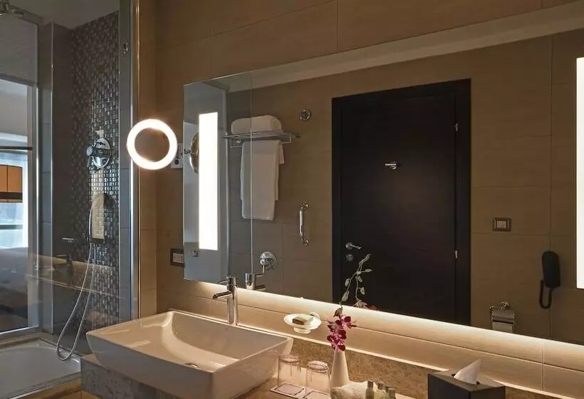 اتاق استاندارد, Hilton Amman