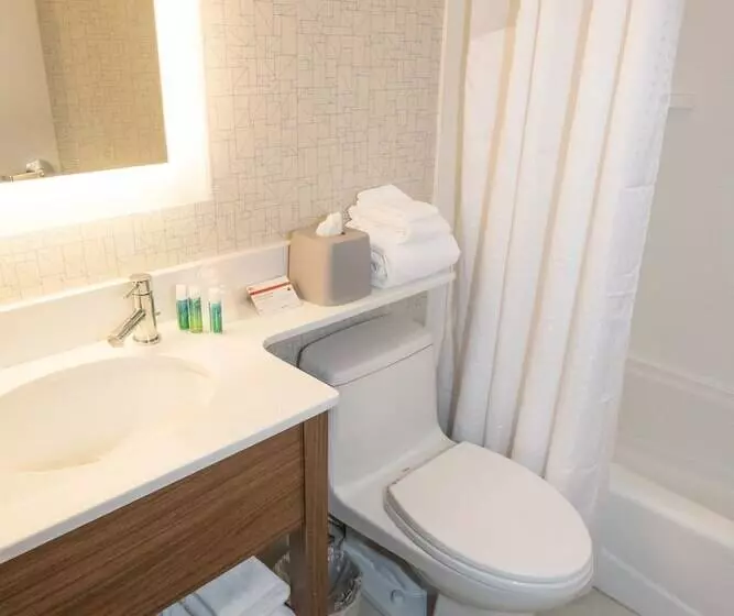 ２ダブルベッドのスタンダードルーム, Holiday Inn Express Laguardia Airport By Ihg