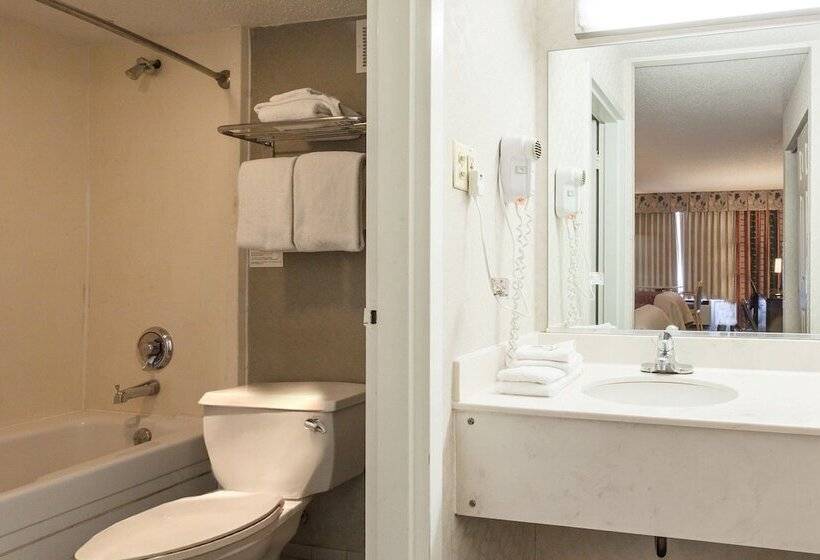 Номер Стандарт 2 Двуспальные Кровати, Red Roof Inn & Suites Dekalb