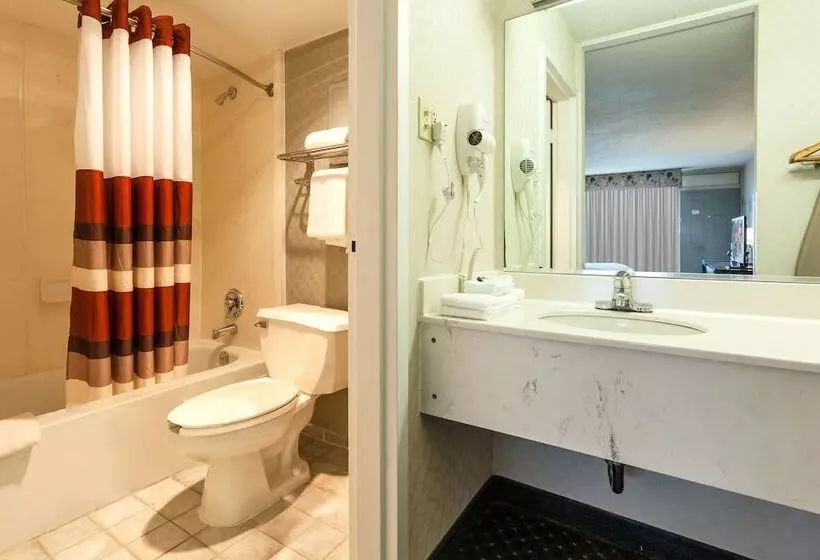 Standard-huone 2 Parivuodetta, Red Roof Inn & Suites Dekalb