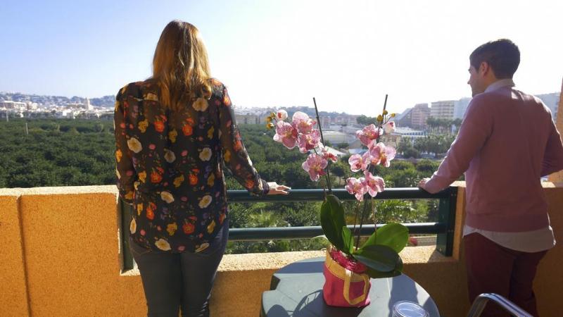 スタンダードルーム, Victoria Playa