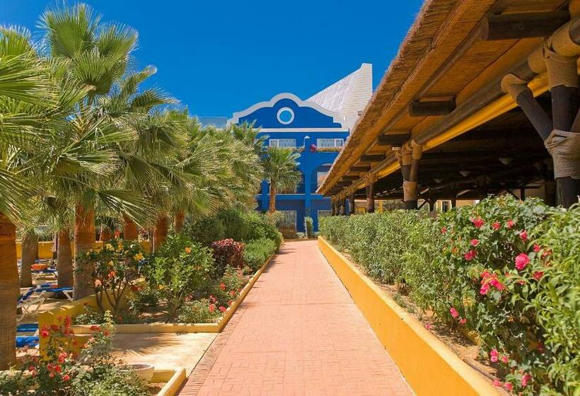 Номер Стандарт Индивидуальный, Playaballena