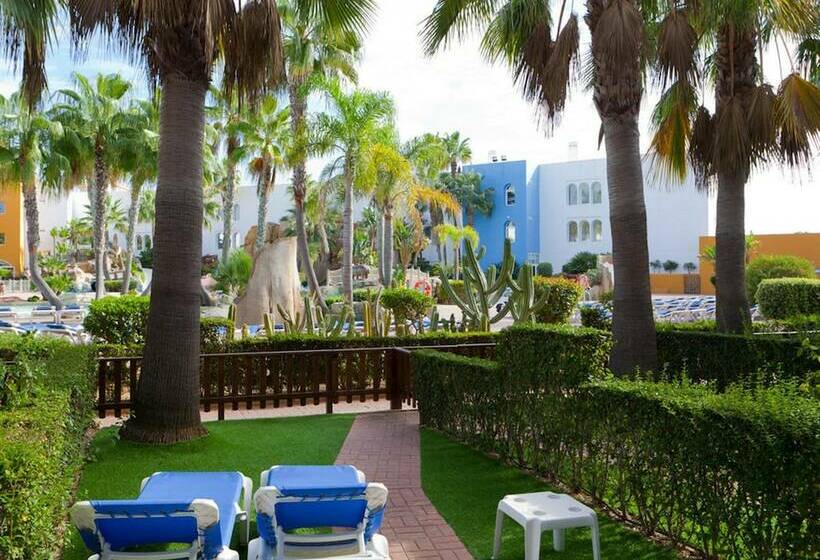 Номер Стандарт, Playaballena