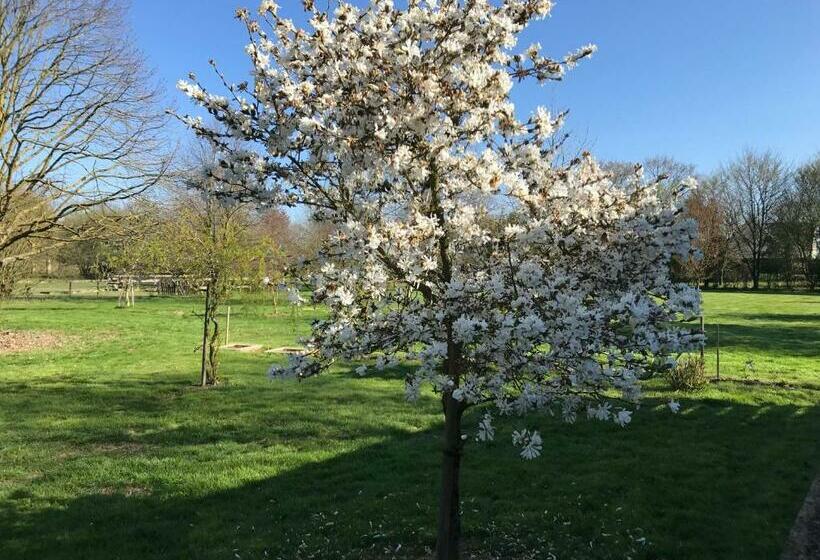 חדר סטנדרט נוף לגינה, Chambre à La Campagne