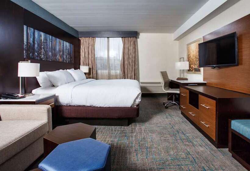 غرفة قياسية سرير كينج, Hampton Inn Midland South