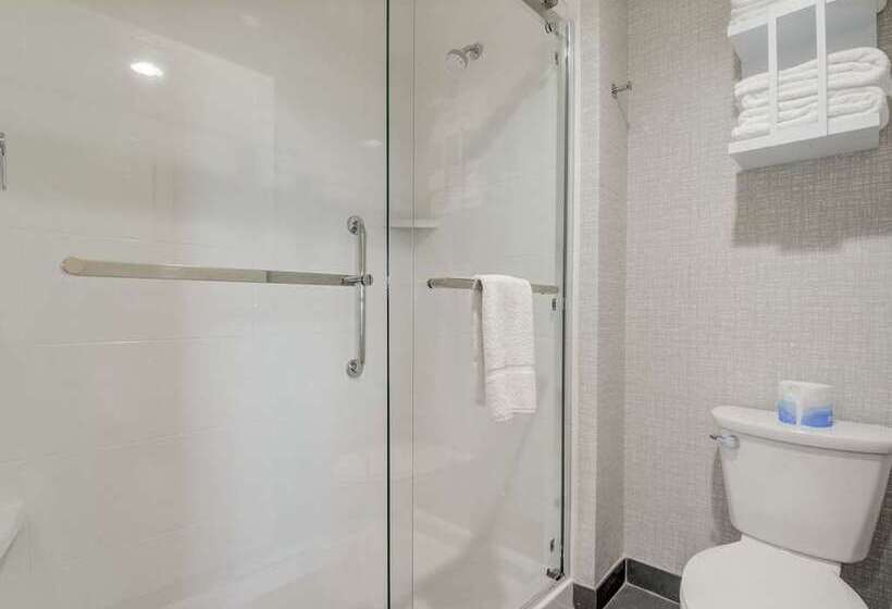 غرفة قياسية, Hampton Inn Midland South