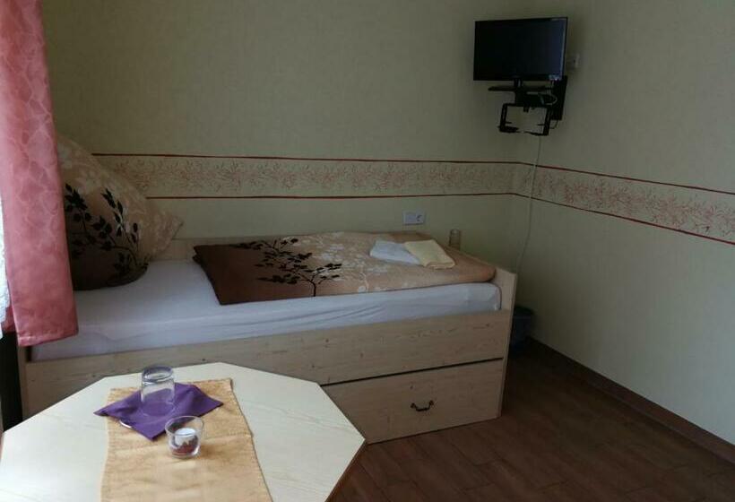 Номер Economy Индивидуальный, Gästehaus Sachsenstübel