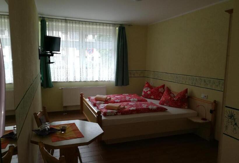 Номер Стандарт, Gästehaus Sachsenstübel