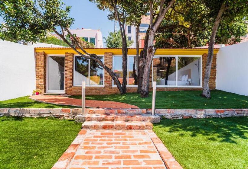 آپارتمان 1 خوابه با چشمانداز باغ, Memories Of Lisbon