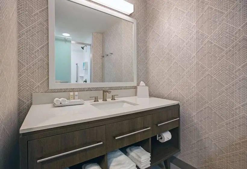 ダブルベッドのスタンダードスタジオ, Home2 Suites Asheville Airport