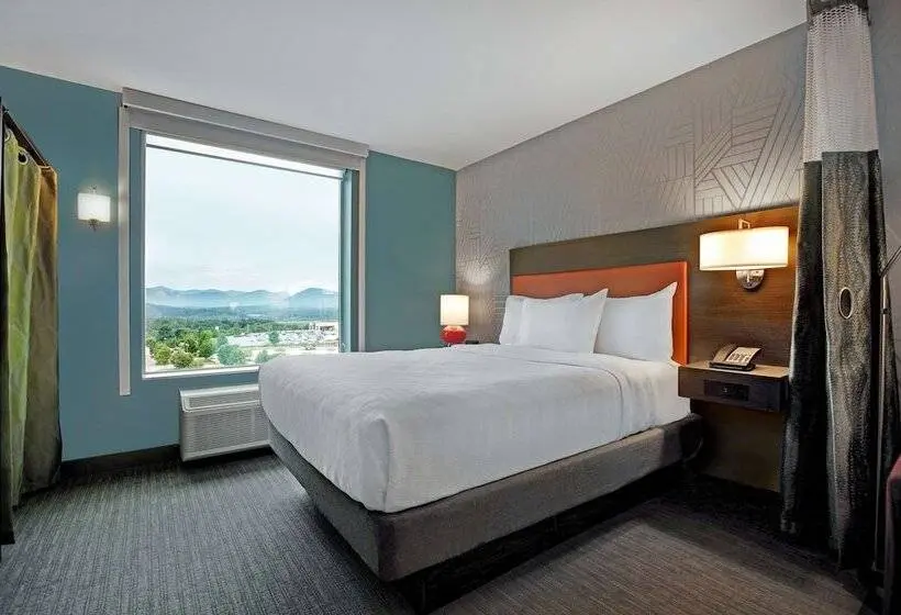 ダブルベッドのスタンダードスタジオ, Home2 Suites Asheville Airport