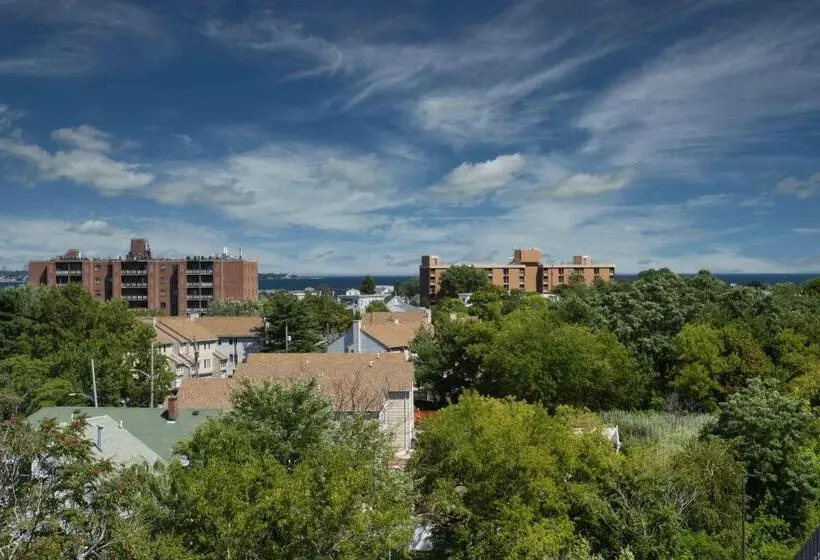 Standard-studio King-vuode, Staybridge Suites   Boston Logan Airport   Revere, An Ihg