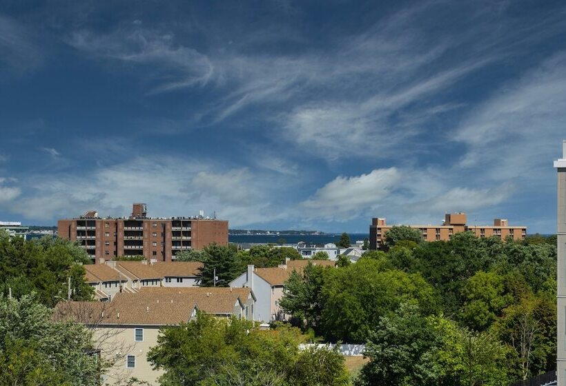 스탠다드 스튜디오 더블 침대, Staybridge Suites   Boston Logan Airport   Revere, An Ihg