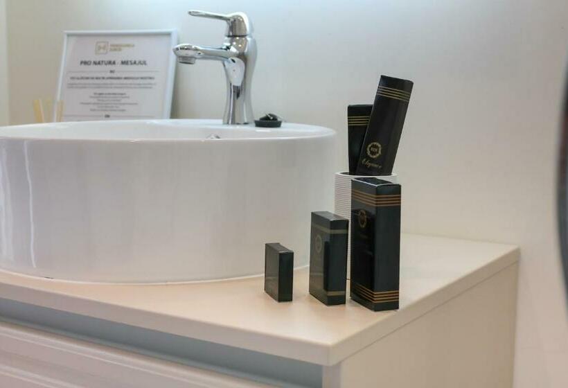 اتاق استاندارد, Pensiunea David