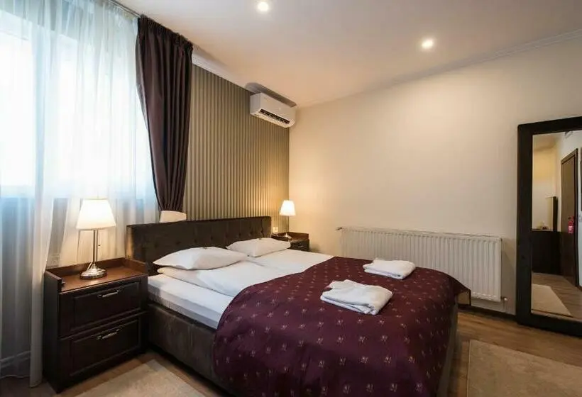 Standard Room, Pensiunea David