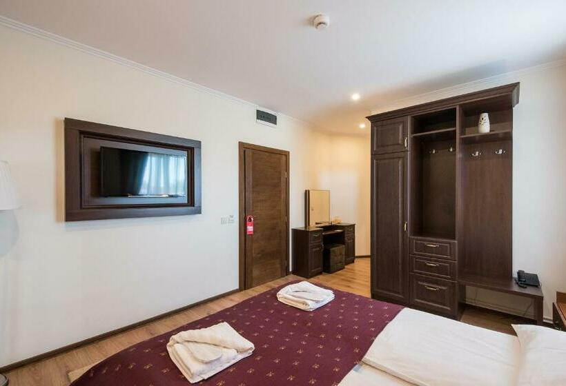 اتاق استاندارد, Pensiunea David