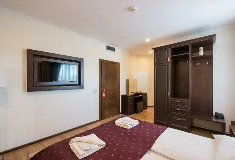Standard Room, Pensiunea David