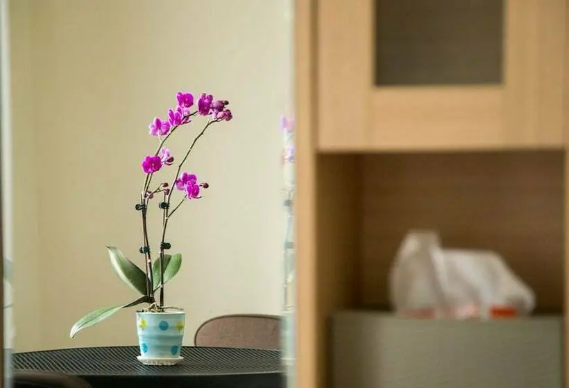 آپارتمان کلاسیک 1 خوابه, Blackfoot Homestay