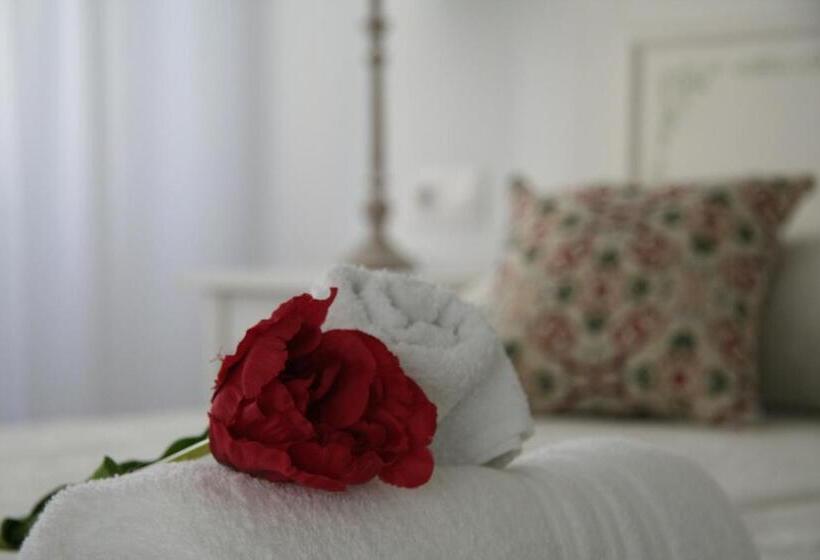 스탠다드 룸, Lar Do Peregrino