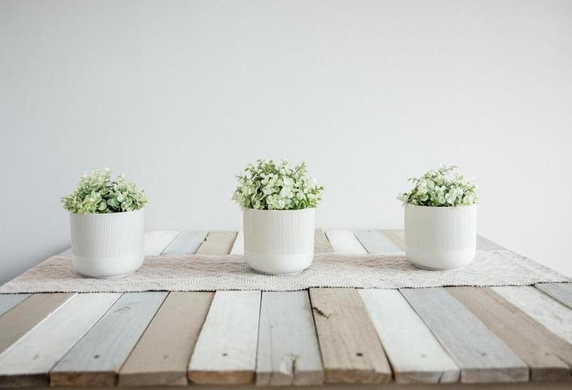 غرفة عائلية, The Perfect Corner Guesthouse