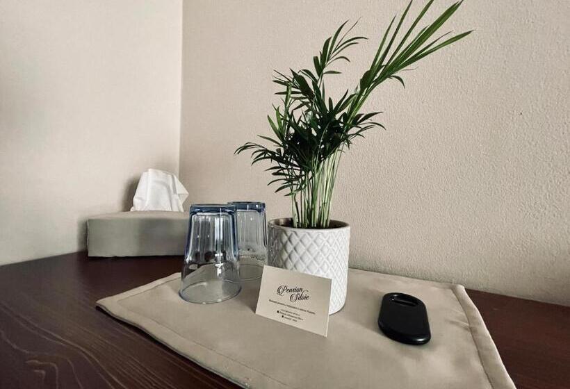 スタンダードルーム, Pension Silvie