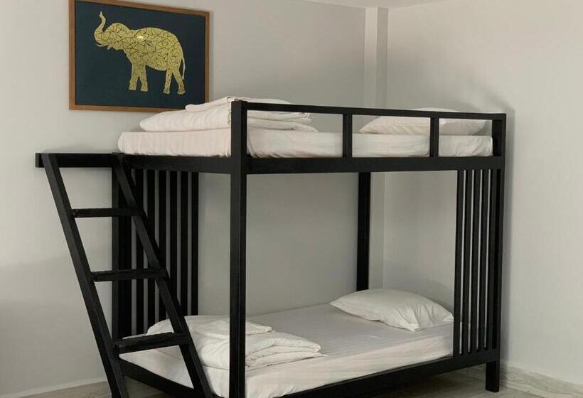 اتاق خانوادگی, Adventure Dome Resort