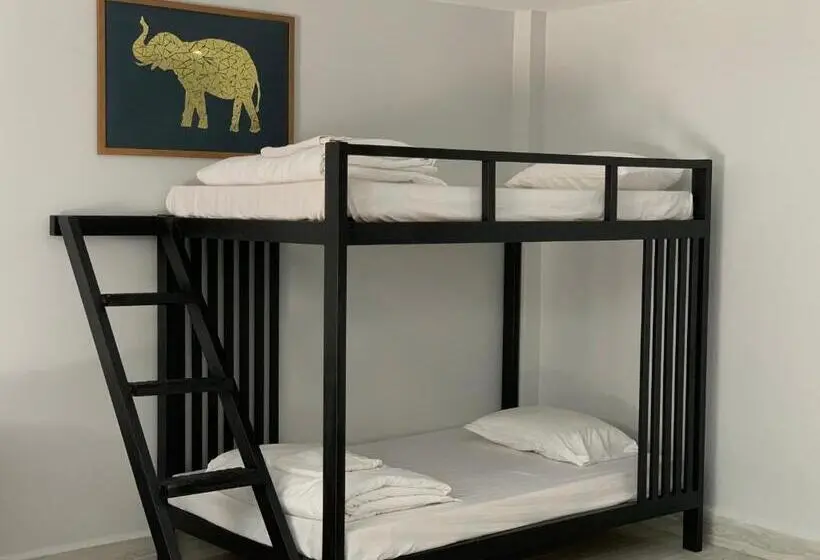 اتاق خانوادگی, Adventure Dome Resort