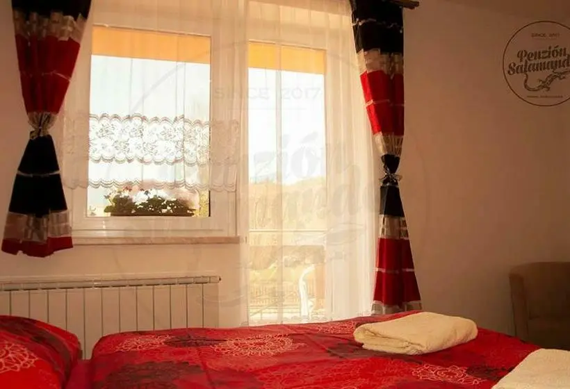 اتاق استاندارد با بالکن, Penzion Salamander