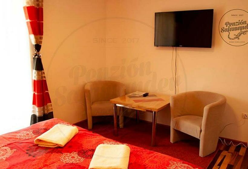 اتاق استاندارد با بالکن, Penzion Salamander