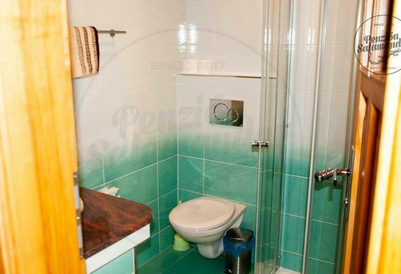 Номер Стандарт с Балконом, Penzion Salamander