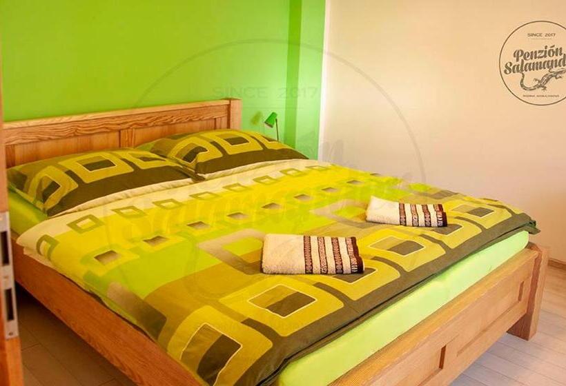 Номер Стандарт с Балконом, Penzion Salamander