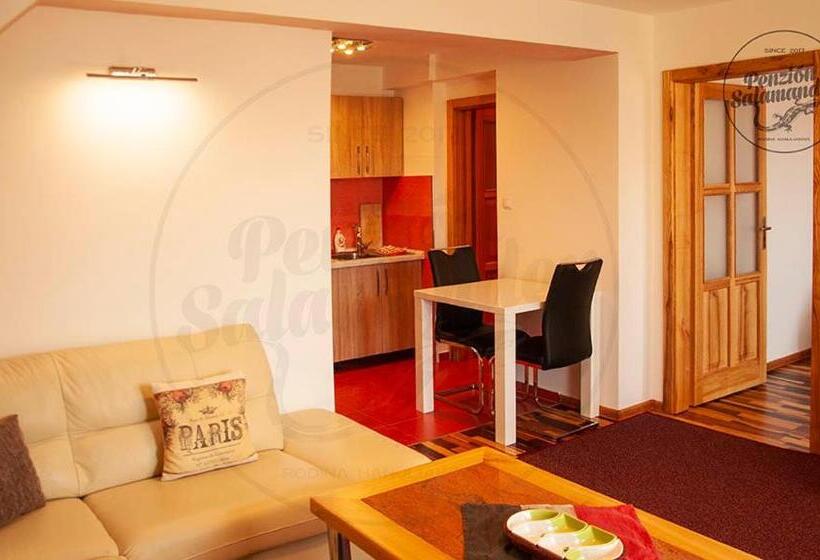 Апартаменты 1 Спальня с Видом, Penzion Salamander