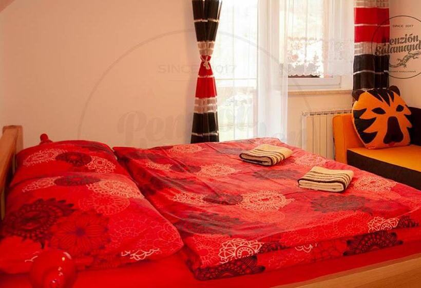 Апартаменты 1 Спальня с Видом, Penzion Salamander