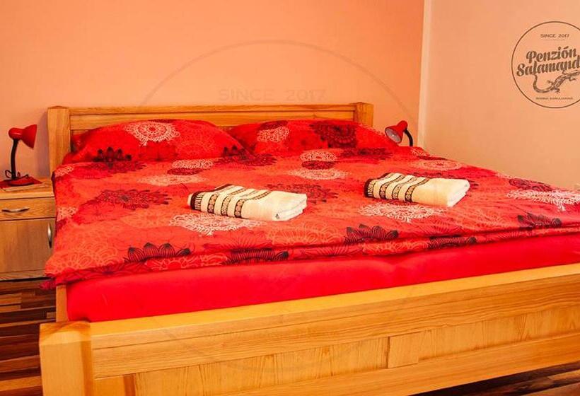 Апартаменты 1 Спальня с Видом, Penzion Salamander