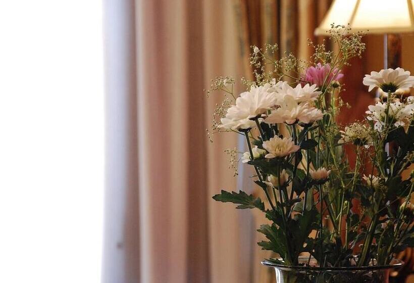 غرفة قياسية, Alvar Fanez