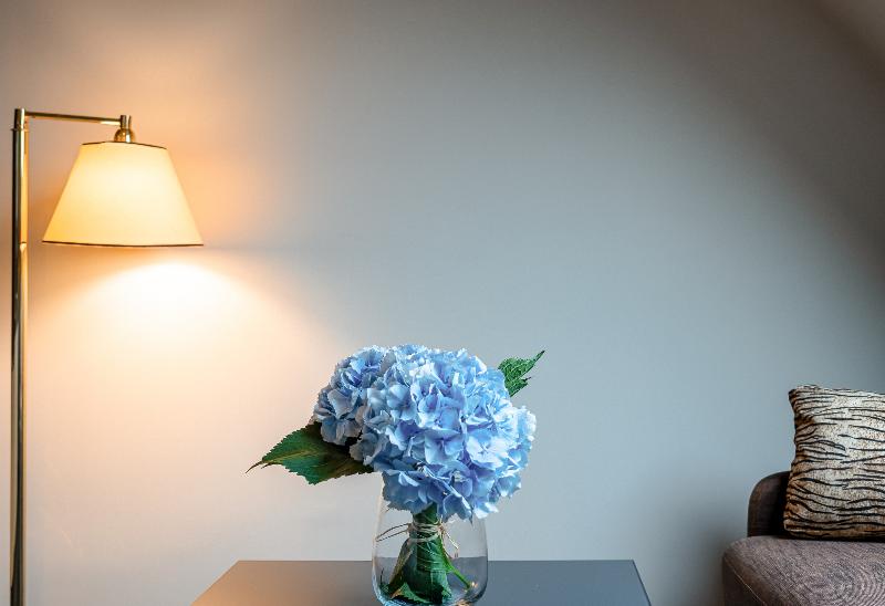 高级大房间, Pavillon Opera Grands Boulevards